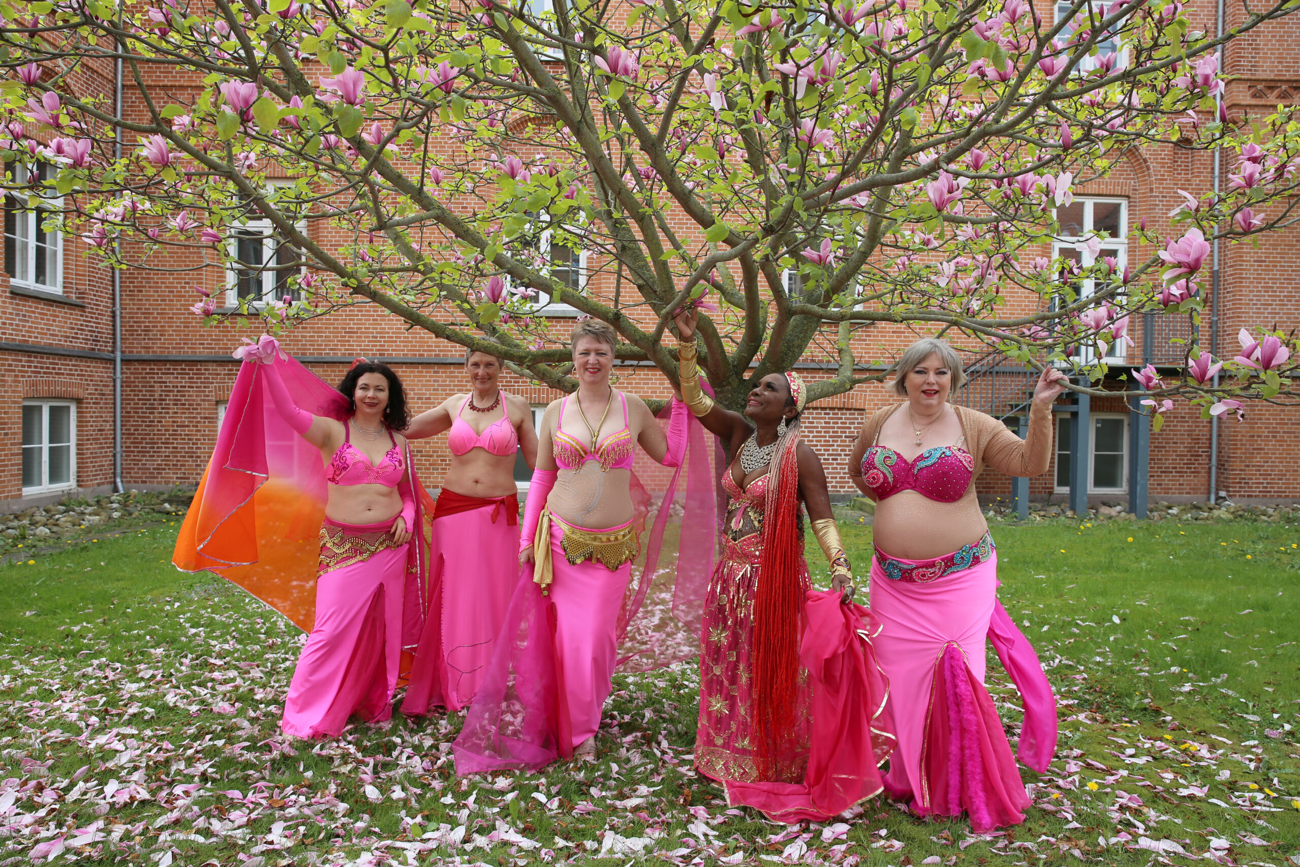 Fem mavedansere i pink kostumer danser under et magnoliatræ med faldende blomsterblade