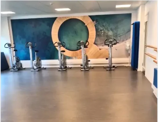 Mavedans i Fredericia – niveauer, teknik og koreografi.