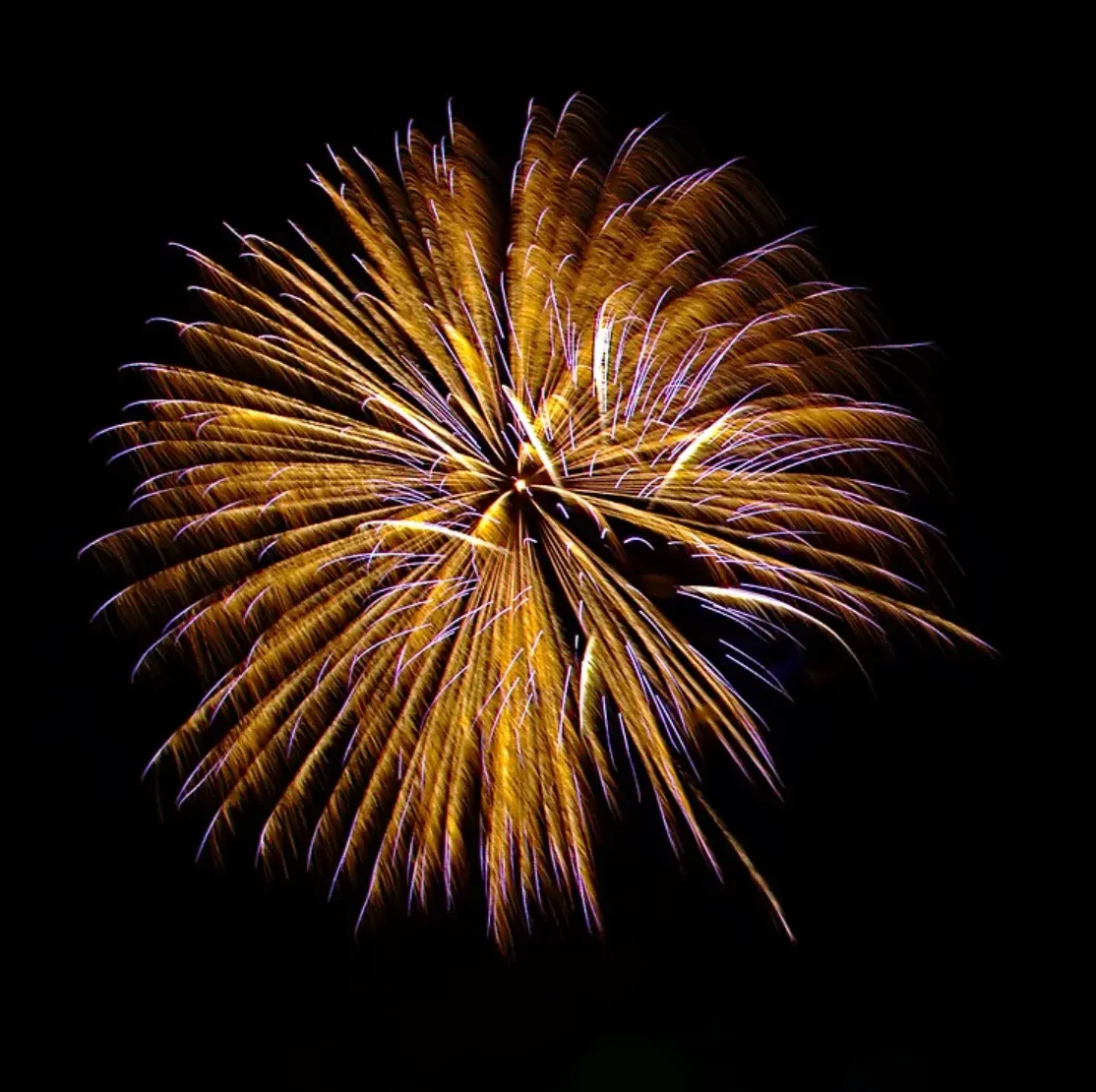 en krysantemun-raket springer på en sort himmel